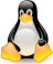  Linux
