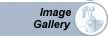 Image Gallery